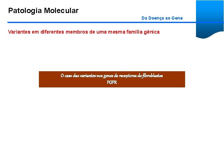 Patologia Molecular Da Doença ao Gene Variantes em diferentes membros de uma mesma família