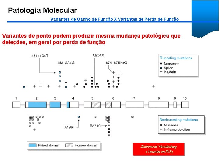 Patologia Molecular Variantes de Ganho de Função X Variantes de Perda de Função Variantes