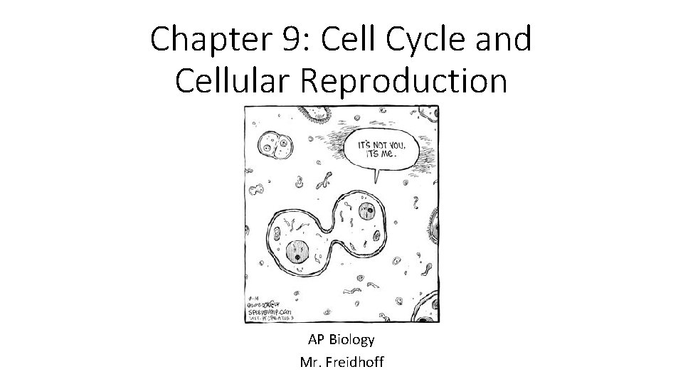 Chapter 9: Cell Cycle and Cellular Reproduction AP Biology Mr. Freidhoff 