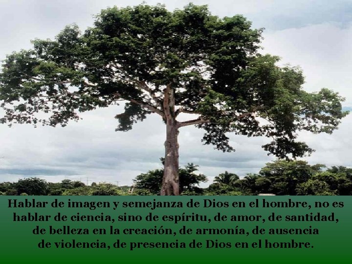 Hablar de imagen y semejanza de Dios en el hombre, no es hablar de