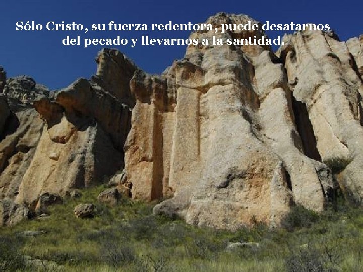 Sólo Cristo, su fuerza redentora, puede desatarnos del pecado y llevarnos a la santidad.