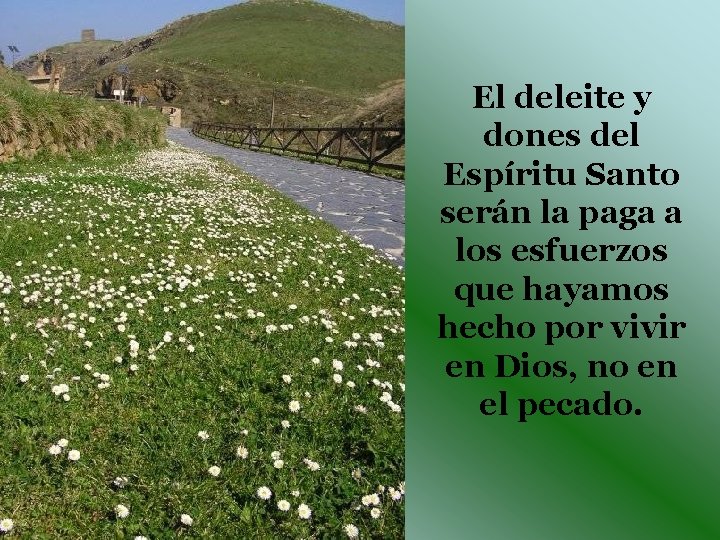 El deleite y dones del Espíritu Santo serán la paga a los esfuerzos que