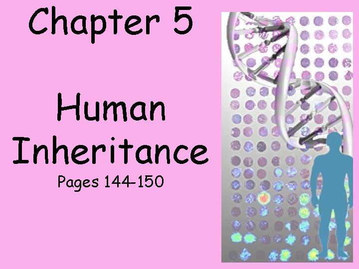 Chapter 5 Human Inheritance Pages 144 -150 