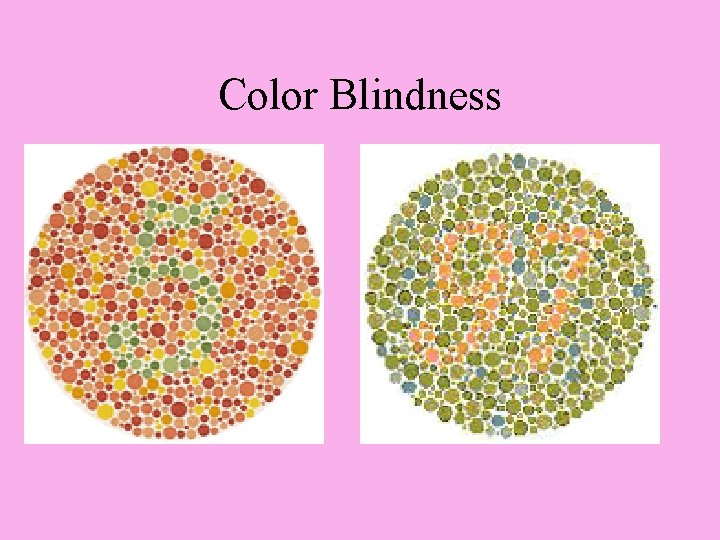 Color Blindness 