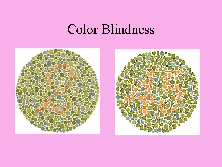 Color Blindness 