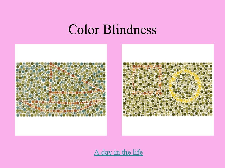 Color Blindness A day in the life 