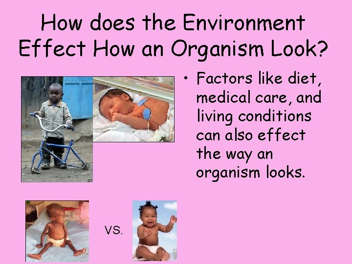 How does the Environment Effect How an Organism Look? • Factors like diet, medical