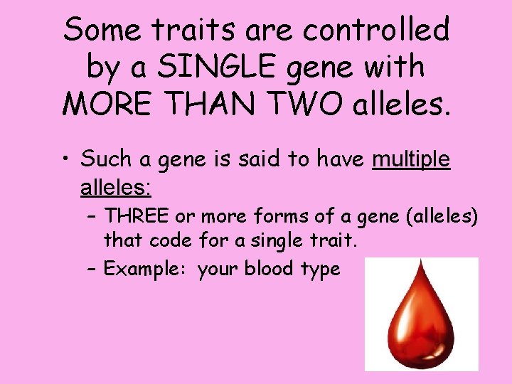 Some traits are controlled by a SINGLE gene with MORE THAN TWO alleles. •