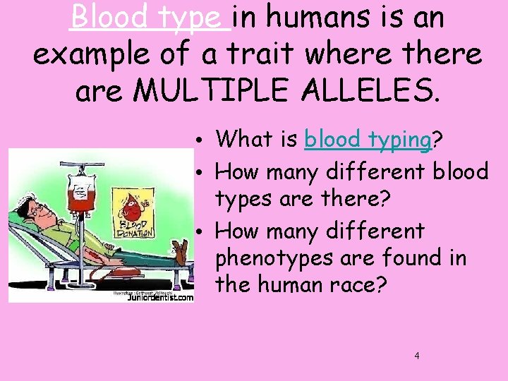 Blood type in humans is an example of a trait where there are MULTIPLE