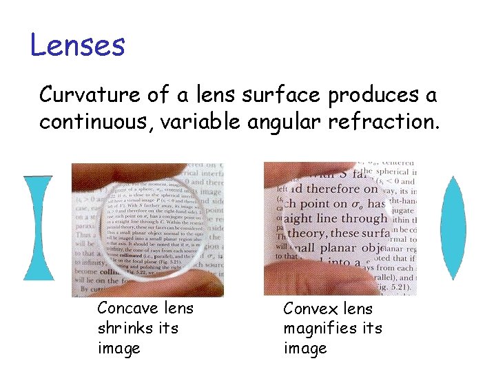 Lenses Curvature of a lens surface produces a continuous, variable angular refraction. Concave lens