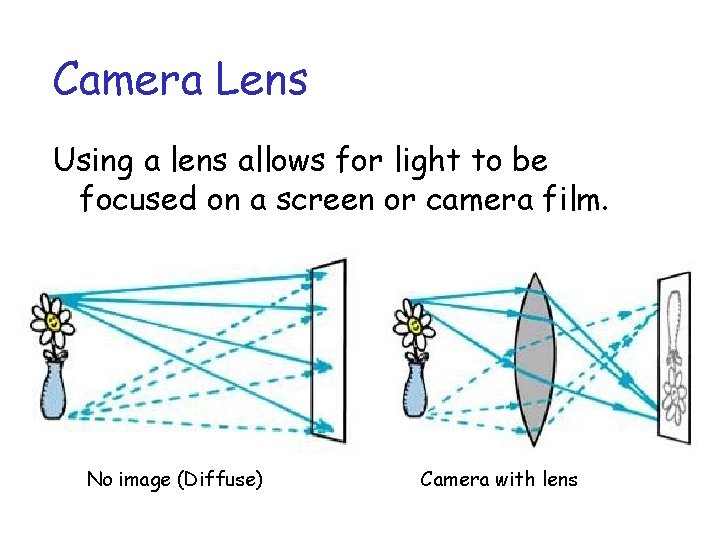 Camera Lens Using a lens allows for light to be focused on a screen