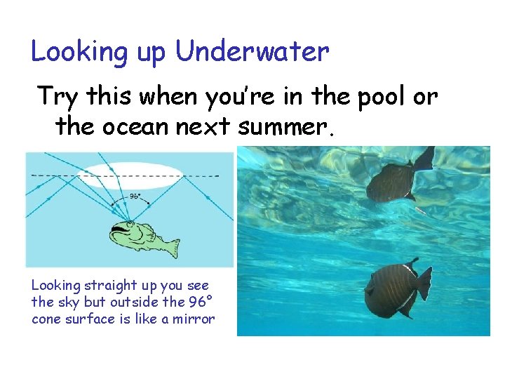Looking up Underwater Try this when you’re in the pool or the ocean next