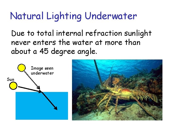 Natural Lighting Underwater Due to total internal refraction sunlight never enters the water at