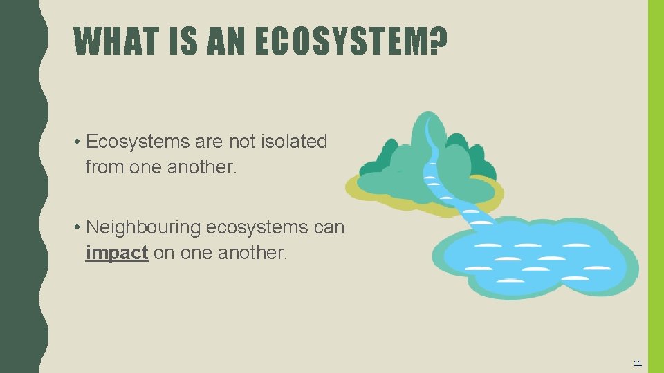 WHAT IS AN ECOSYSTEM? • Ecosystems are not isolated from one another. • Neighbouring