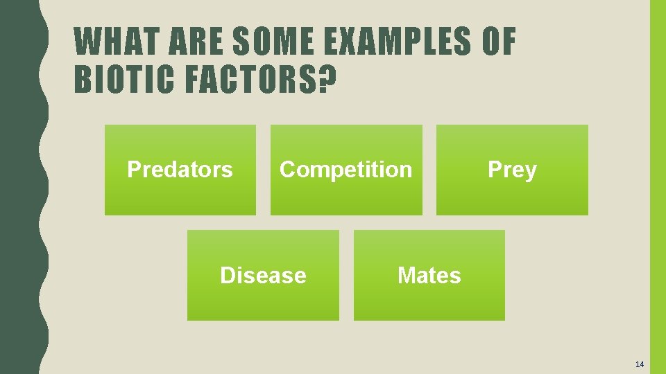 WHAT ARE SOME EXAMPLES OF BIOTIC FACTORS? Predators Competition Disease Prey Mates 14 