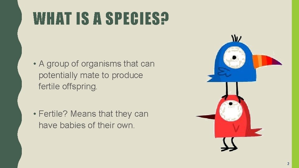 WHAT IS A SPECIES? • A group of organisms that can potentially mate to