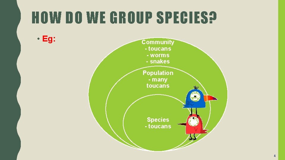 HOW DO WE GROUP SPECIES? • Eg: Community - toucans - worms - snakes
