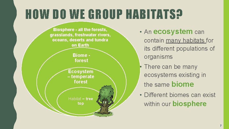 HOW DO WE GROUP HABITATS? Biosphere - all the forests, grasslands, freshwater rivers, oceans,
