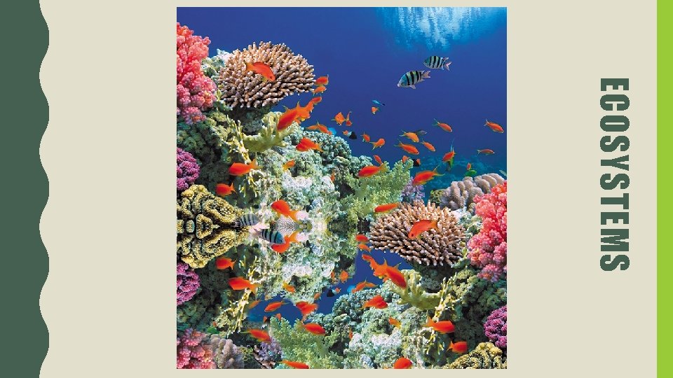 ECOSYSTEMS 