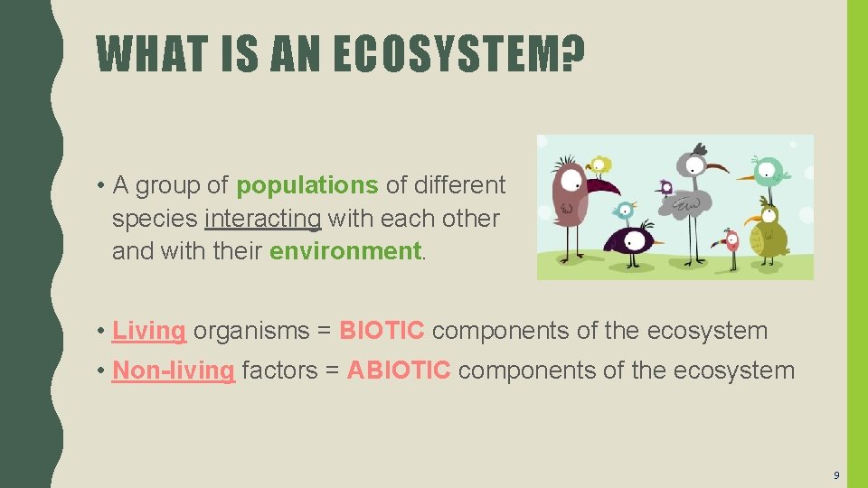 WHAT IS AN ECOSYSTEM? • A group of populations of different species interacting with