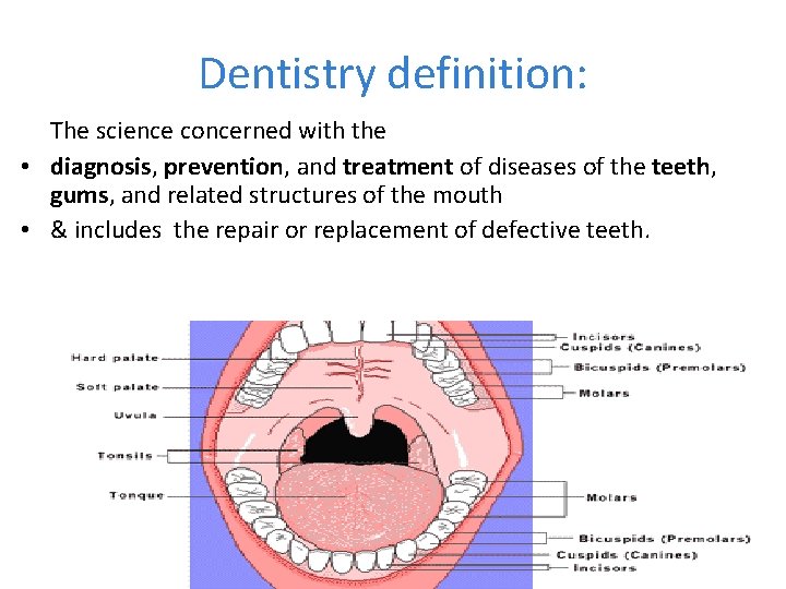 Dentistry definition: The science concerned with the • diagnosis, prevention, and treatment of diseases