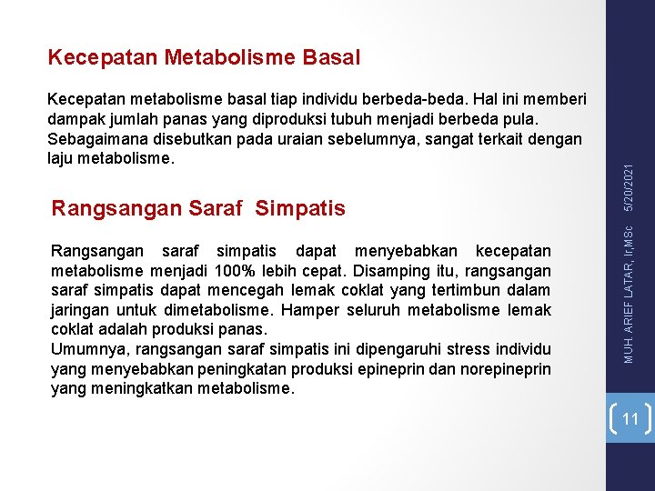 Rangsangan Saraf Simpatis Rangsangan saraf simpatis dapat menyebabkan kecepatan metabolisme menjadi 100% lebih cepat.