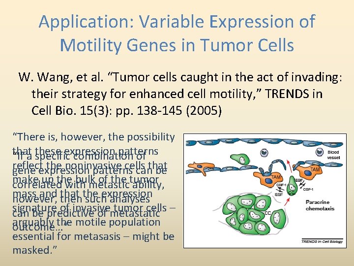 Application: Variable Expression of Motility Genes in Tumor Cells W. Wang, et al. “Tumor