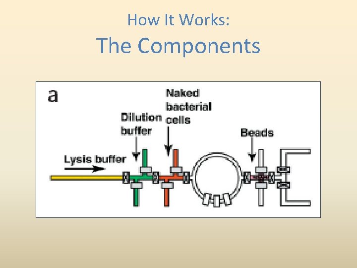 How It Works: The Components 