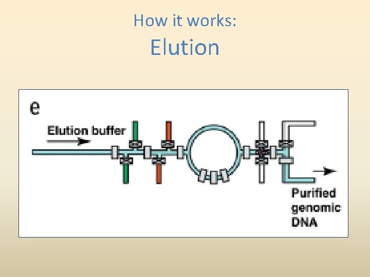 How it works: Elution 