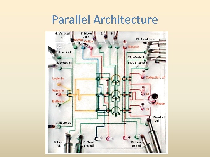Parallel Architecture 