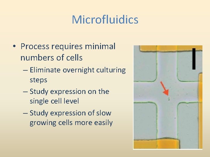 Microfluidics • Process requires minimal numbers of cells – Eliminate overnight culturing steps –