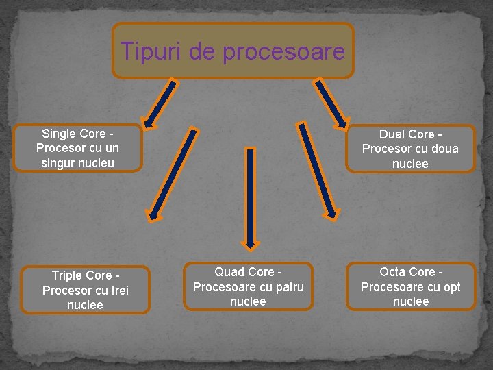 Tipuri de procesoare Single Core Procesor cu un singur nucleu Triple Core Procesor cu