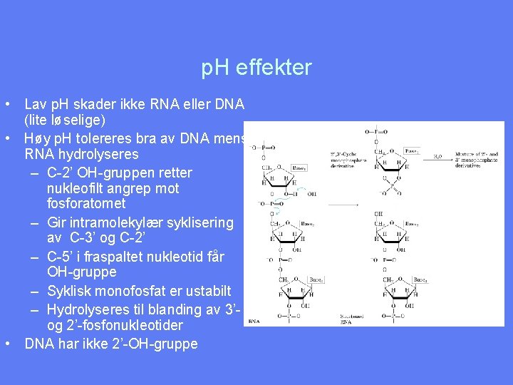 p. H effekter • Lav p. H skader ikke RNA eller DNA (lite løselige)