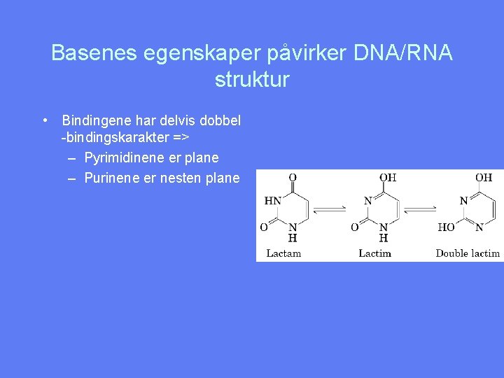 Basenes egenskaper påvirker DNA/RNA struktur • Bindingene har delvis dobbel -bindingskarakter => – Pyrimidinene