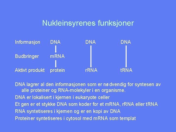 Nukleinsyrenes funksjoner Informasjon DNA Budbringer m. RNA Aktivt produkt protein DNA r. RNA t.