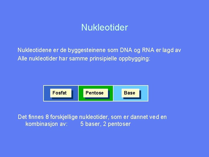 Nukleotider Nukleotidene er de byggesteinene som DNA og RNA er lagd av Alle nukleotider