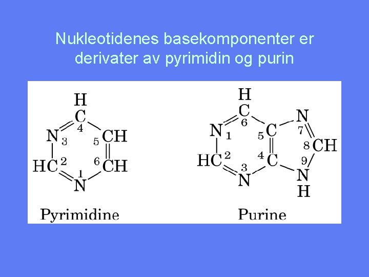 Nukleotidenes basekomponenter er derivater av pyrimidin og purin 