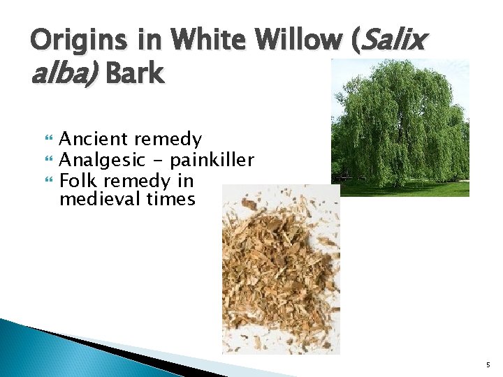 Origins in White Willow (Salix alba) Bark Ancient remedy Analgesic - painkiller Folk remedy