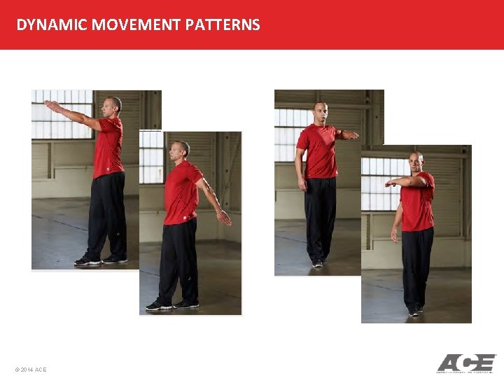 DYNAMIC MOVEMENT PATTERNS © 2014 ACE 