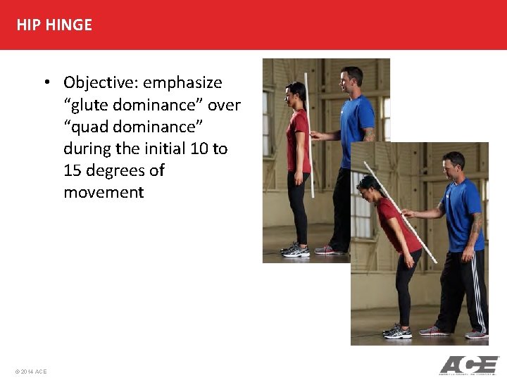 HIP HINGE • Objective: emphasize “glute dominance” over “quad dominance” during the initial 10