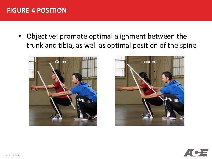 FIGURE-4 POSITION • Objective: promote optimal alignment between the trunk and tibia, as well