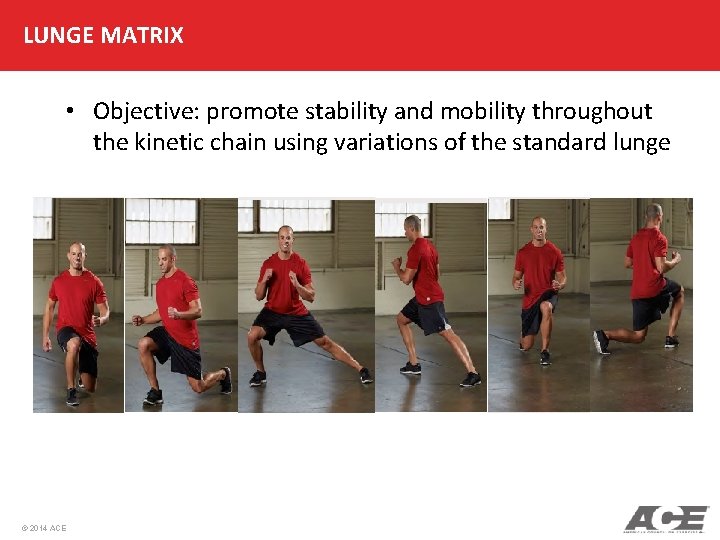 LUNGE MATRIX • Objective: promote stability and mobility throughout the kinetic chain using variations