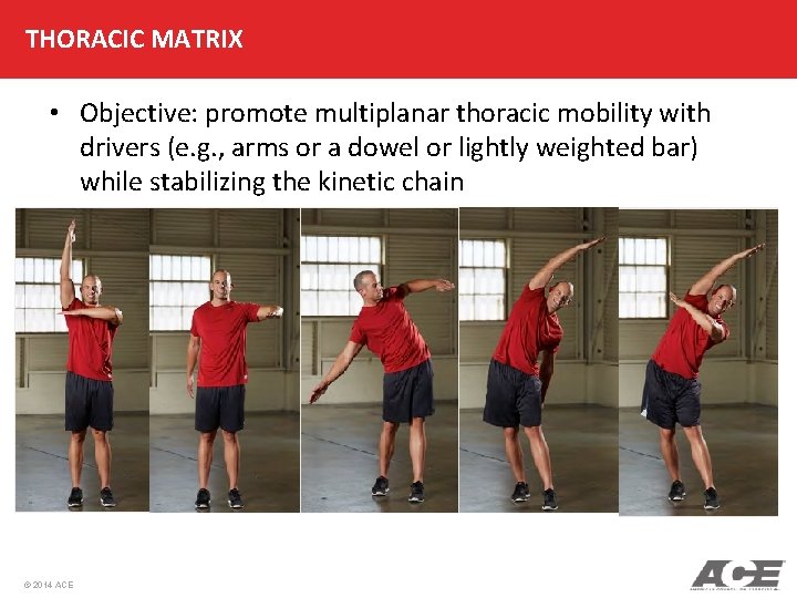 THORACIC MATRIX • Objective: promote multiplanar thoracic mobility with drivers (e. g. , arms