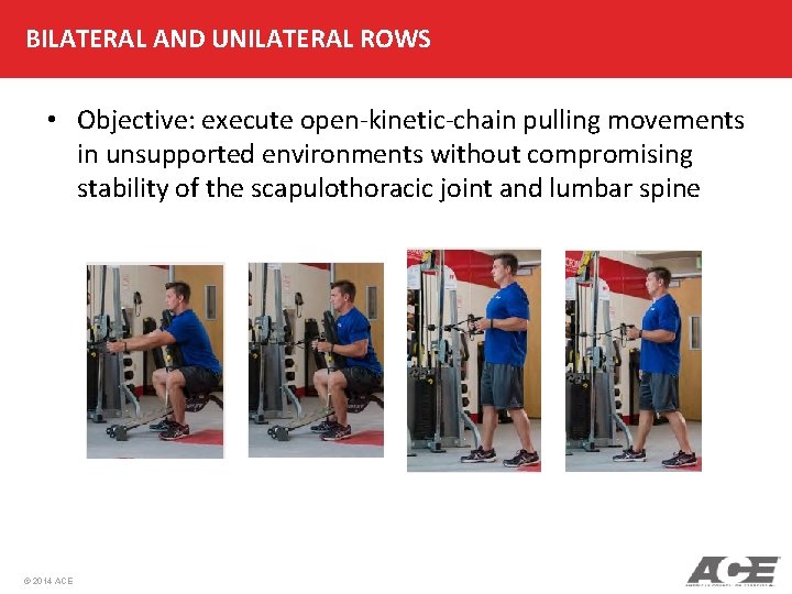 BILATERAL AND UNILATERAL ROWS • Objective: execute open-kinetic-chain pulling movements in unsupported environments without