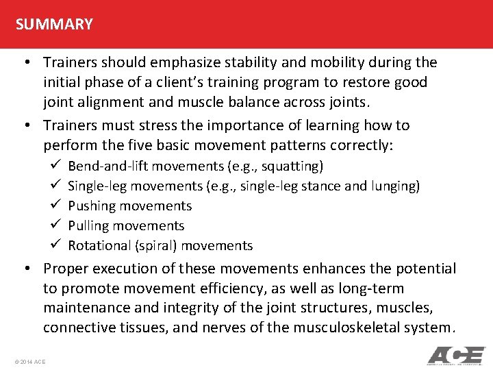 SUMMARY • Trainers should emphasize stability and mobility during the initial phase of a