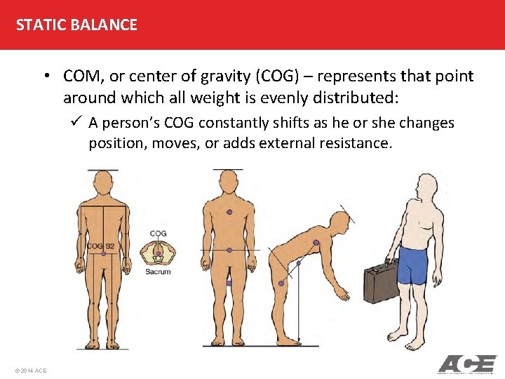 STATIC BALANCE • COM, or center of gravity (COG) – represents that point around