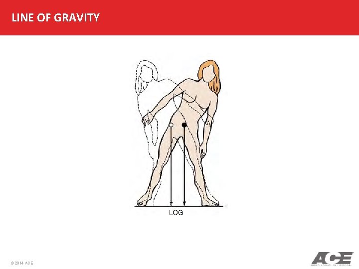 LINE OF GRAVITY © 2014 ACE 