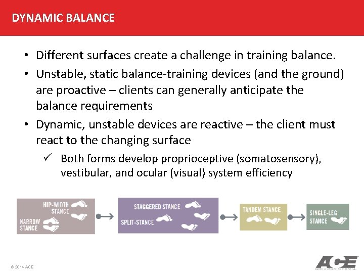 DYNAMIC BALANCE • Different surfaces create a challenge in training balance. • Unstable, static
