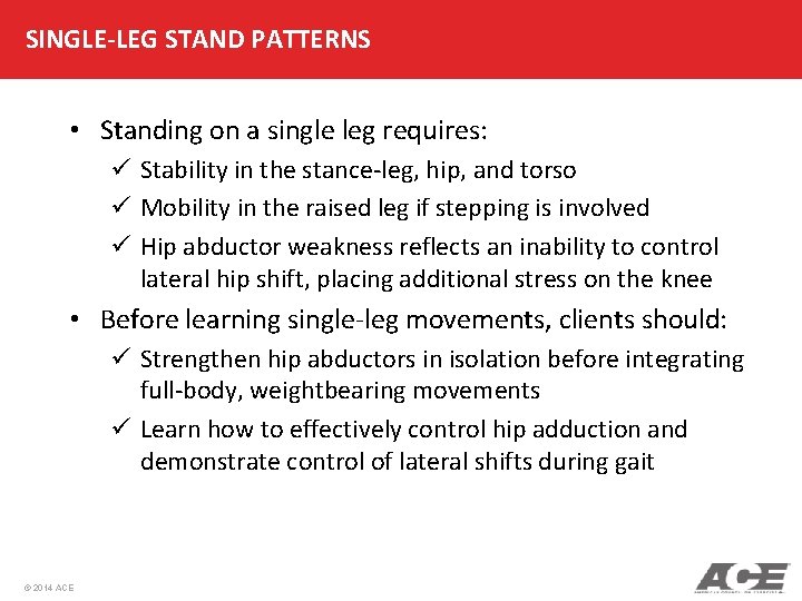 SINGLE-LEG STAND PATTERNS • Standing on a single leg requires: ü Stability in the