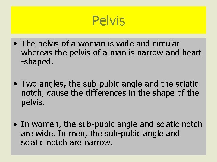 Pelvis • The pelvis of a woman is wide and circular whereas the pelvis